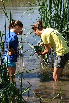 Carpenter Nature Center