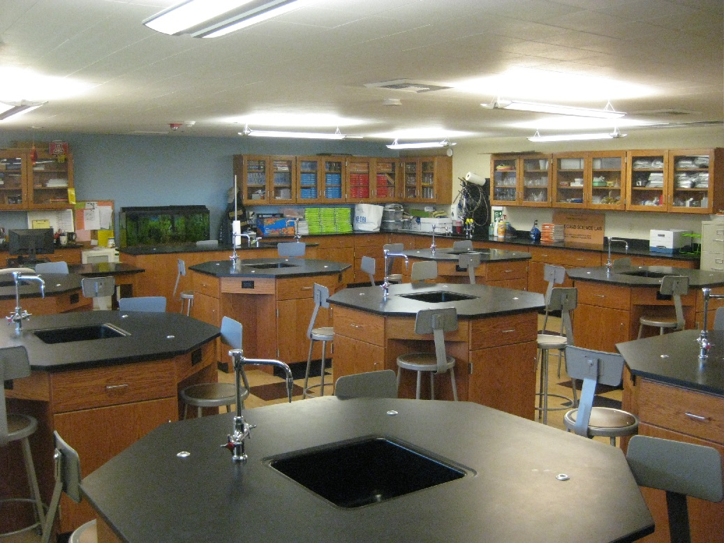 St. Albert The Great